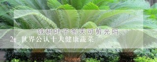 世界公认十大健康蔬菜