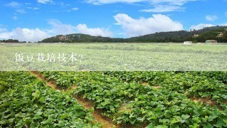 饭豆栽培技术？