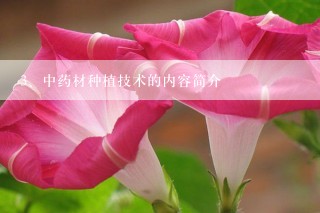 中药材种植技术的内容简介