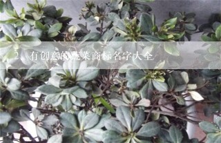 有创意的蔬菜商标名字大全