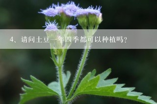 请问土豆一年四季都可以种植吗？