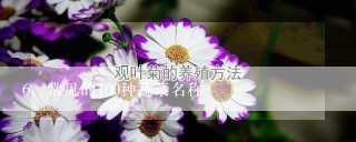 常见的100种蔬菜名称