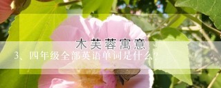 四年级全部英语单词是什么？