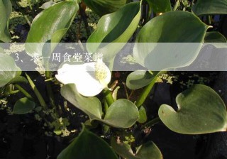 求一周食堂菜谱