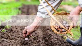 经典川菜100款的菜名