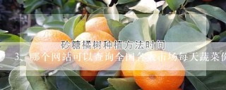 哪个网站可以查询全国各大市场每天蔬菜价格及行情走