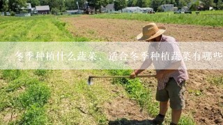 冬季种植什么蔬菜，适合冬季种植蔬菜有哪些？