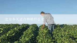 北方冬天适合种植什么菜