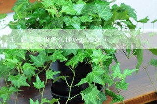 蔬菜英语怎么读vegetable