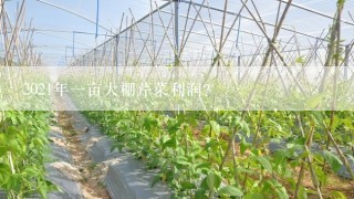 2021年一亩大棚芹菜利润？