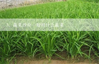 蔬菜沙拉一般用什么蔬菜