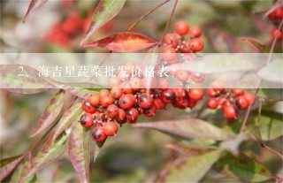 海吉星蔬菜批发价格表？