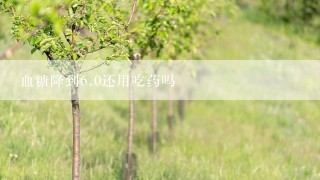 血糖降到<br/>6、0还用吃药吗