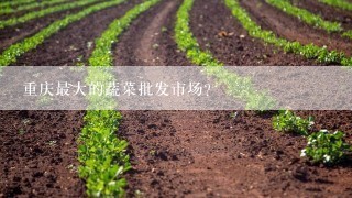 重庆最大的蔬菜批发市场？