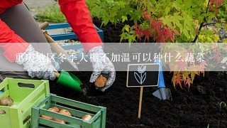 重庆地区冬季大棚不加温可以种什么蔬菜