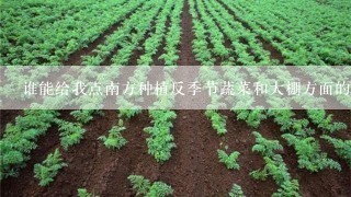 谁能给我点南方种植反季节蔬菜和大棚方面的知识