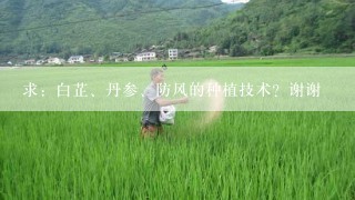 求：白芷、丹参、防风的种植技术？谢谢