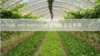 fruit and vegetables 是复数还是单数