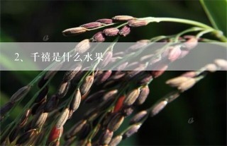 千禧是什么水果