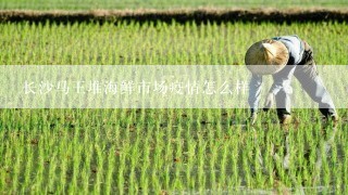 长沙马王堆海鲜市场疫情怎么样