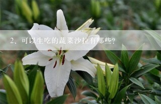 可以生吃的蔬菜沙拉有哪些？