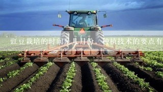 豇豆栽培的时间是几月份，种植技术的要点有哪些？