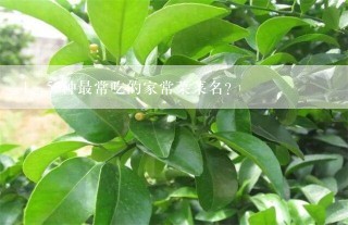 50种最常吃的家常菜菜名？