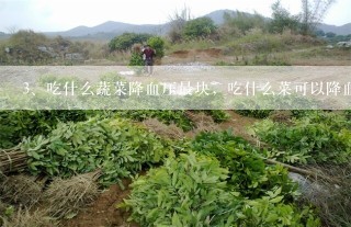 吃什么蔬菜降血压最块，吃什么菜可以降血压