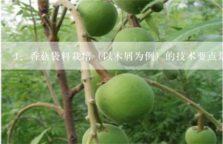 香菇袋料栽培（以木屑为例）的技术要点是什么？