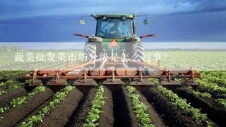 蔬菜批发菜市场分级是怎么回事？