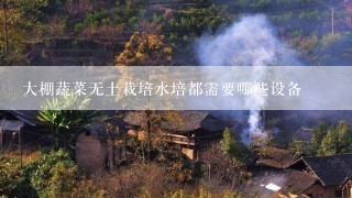 大棚蔬菜无土栽培水培都需要哪些设备