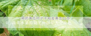 蔬菜水果的简笔画图片大全涂色