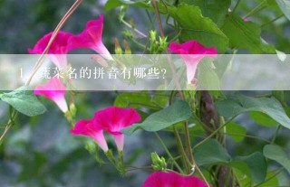 蔬菜名的拼音有哪些？