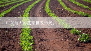 广东最大的蔬菜批发市场？