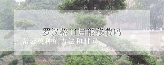 紫云英种植方法和时间