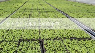 春天是什么水果上市的季节