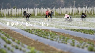 北京新发地蔬菜价格表