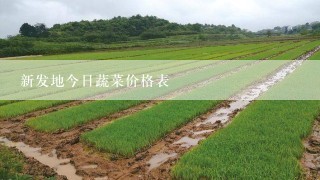 新发地今日蔬菜价格表