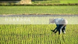 什么水果含钙高