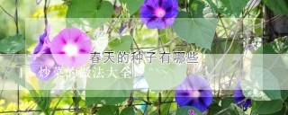 炒菜的做法大全