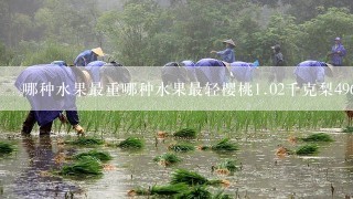 哪种水果最重哪种水果最轻樱桃<br/>1、02千克梨496千克葡萄0.35千克苹果500克？