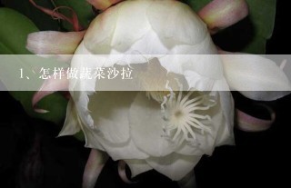 怎样做蔬菜沙拉