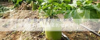 上海哪里有批发蔬菜的电商网站？