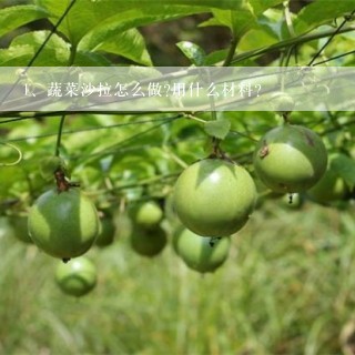 蔬菜沙拉怎么做?用什么材料?