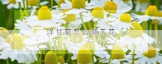 需要安装一个15平方的小型冷库，冷冻的，需要多少钱