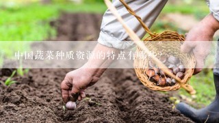 中国蔬菜种质资源的特点有哪些？