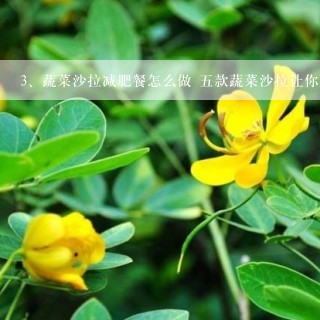 蔬菜沙拉减肥餐怎么做 五款蔬菜沙拉让你越吃越瘦