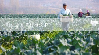 野生水芹菜种植技术