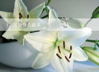 这是什么蔬菜