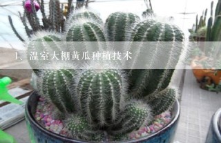 温室大棚黄瓜种植技术